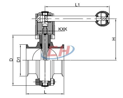 衛生級快裝蝶閥結構圖